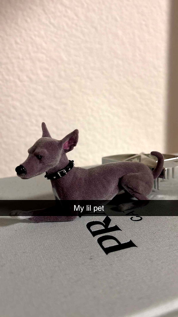 imchloebleu snapchat image archive image