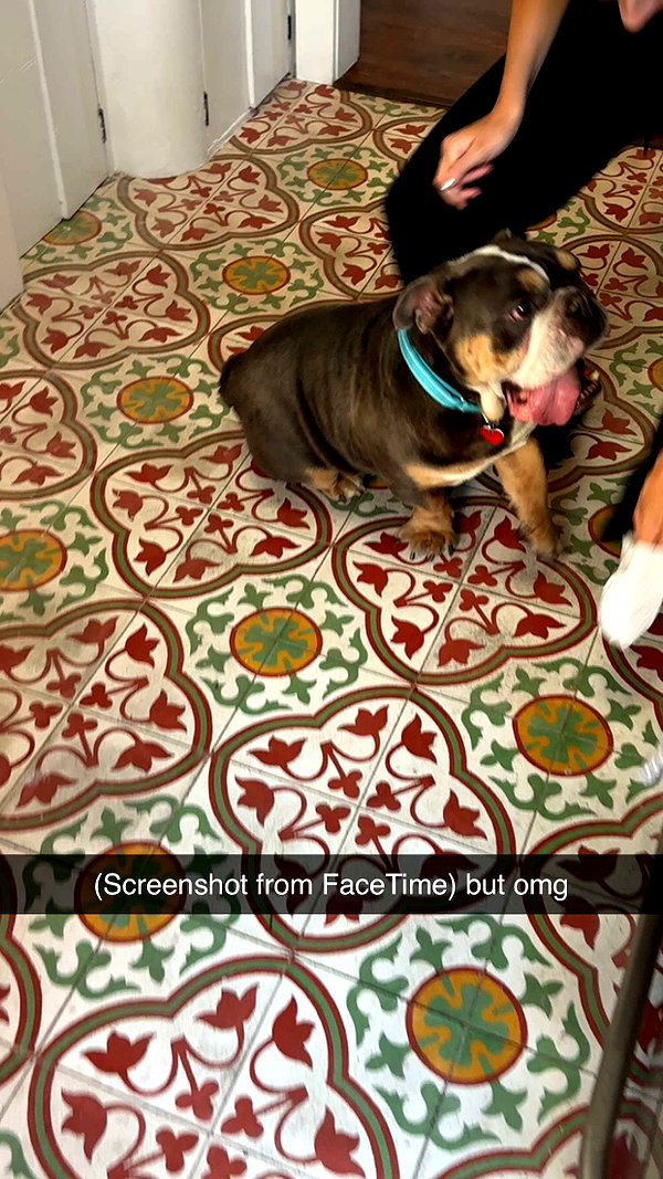 imchloebleu snapchat image archive image