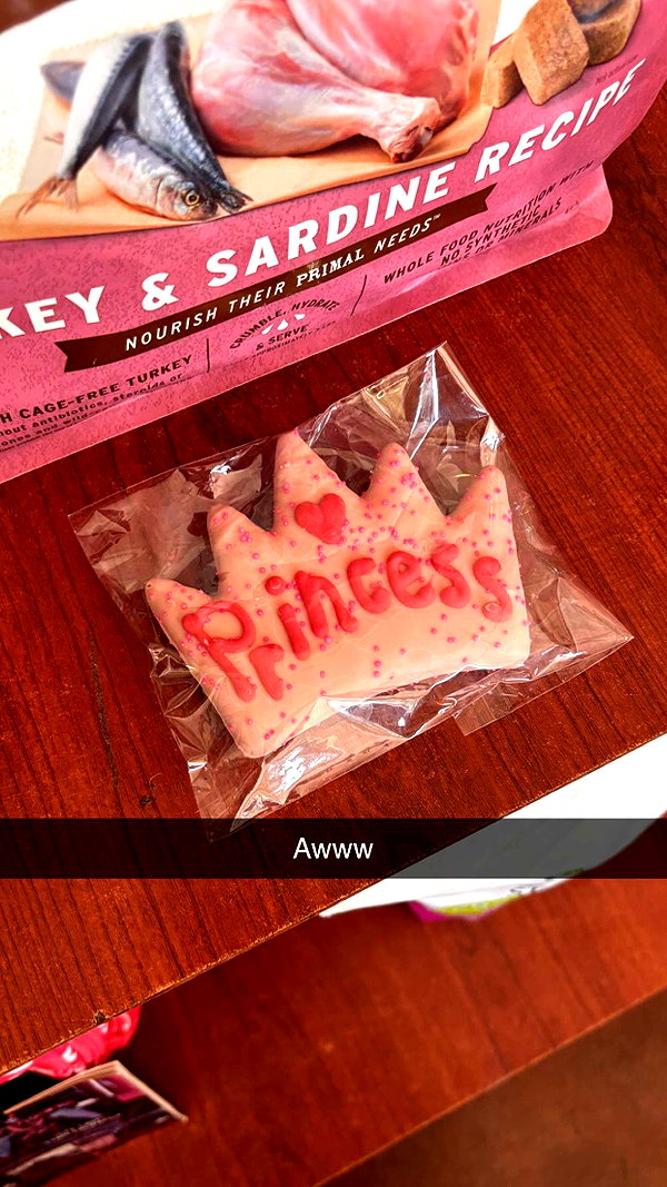 imchloebleu snapchat image archive image