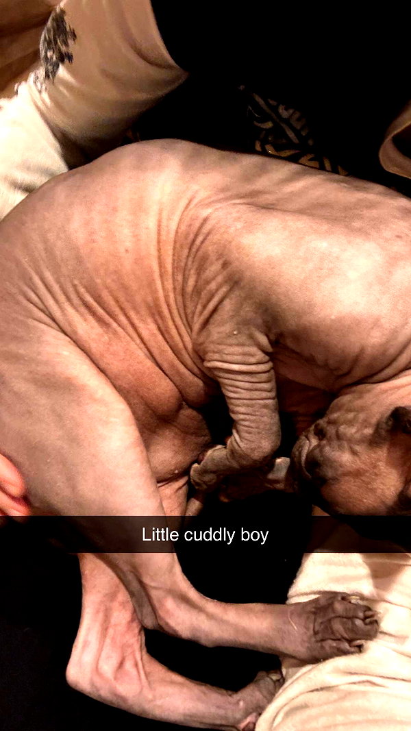 imchloebleu snapchat image archive image
