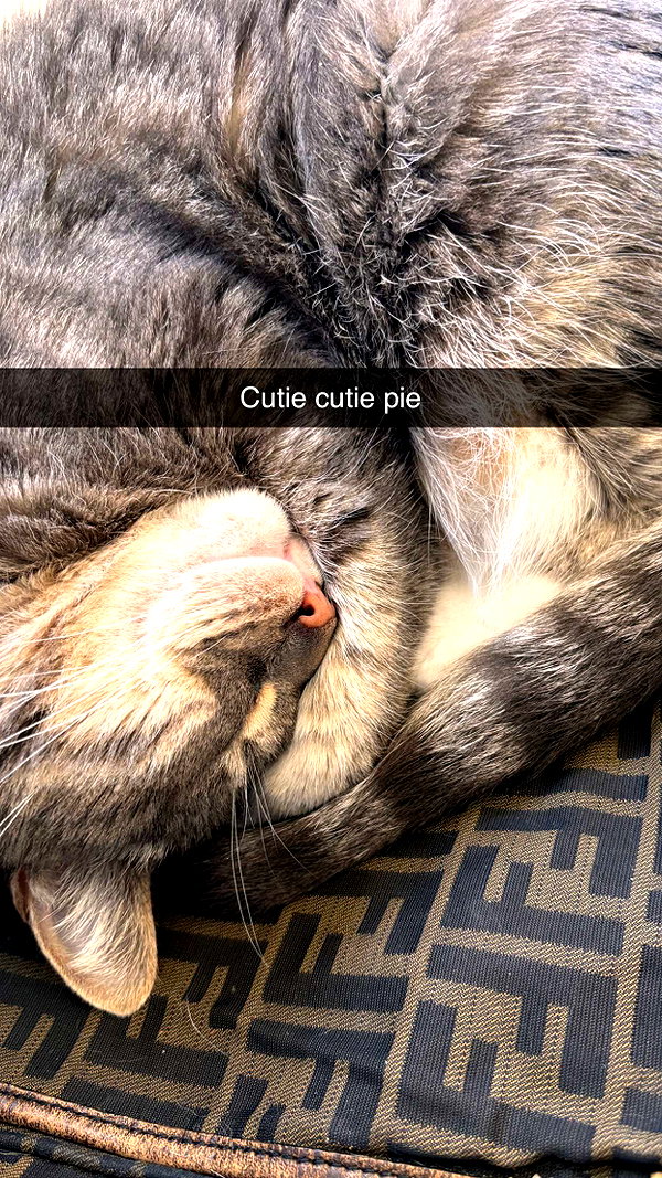 imchloebleu snapchat image archive image