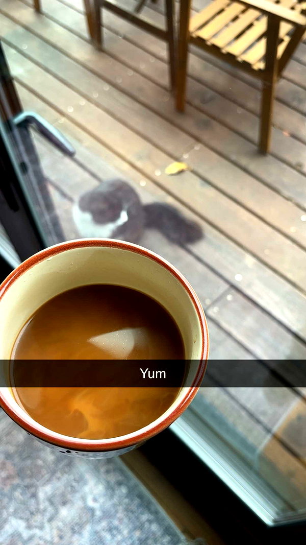 imchloebleu snapchat image archive image