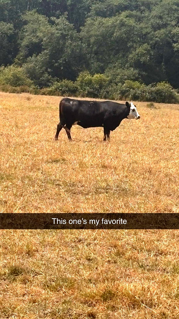 imchloebleu snapchat image archive image