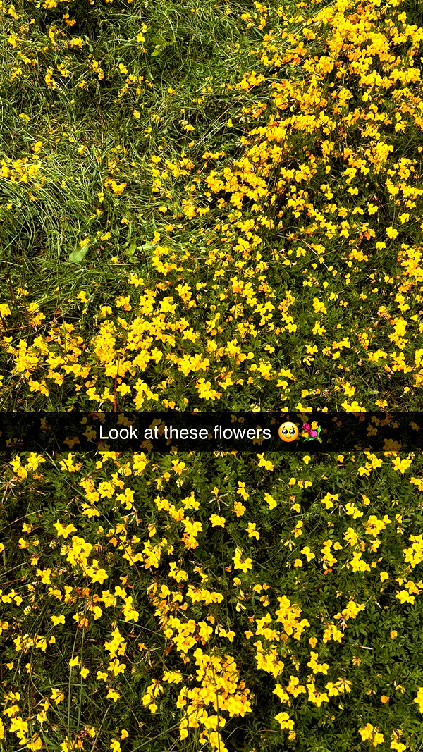 imchloebleu snapchat image archive image