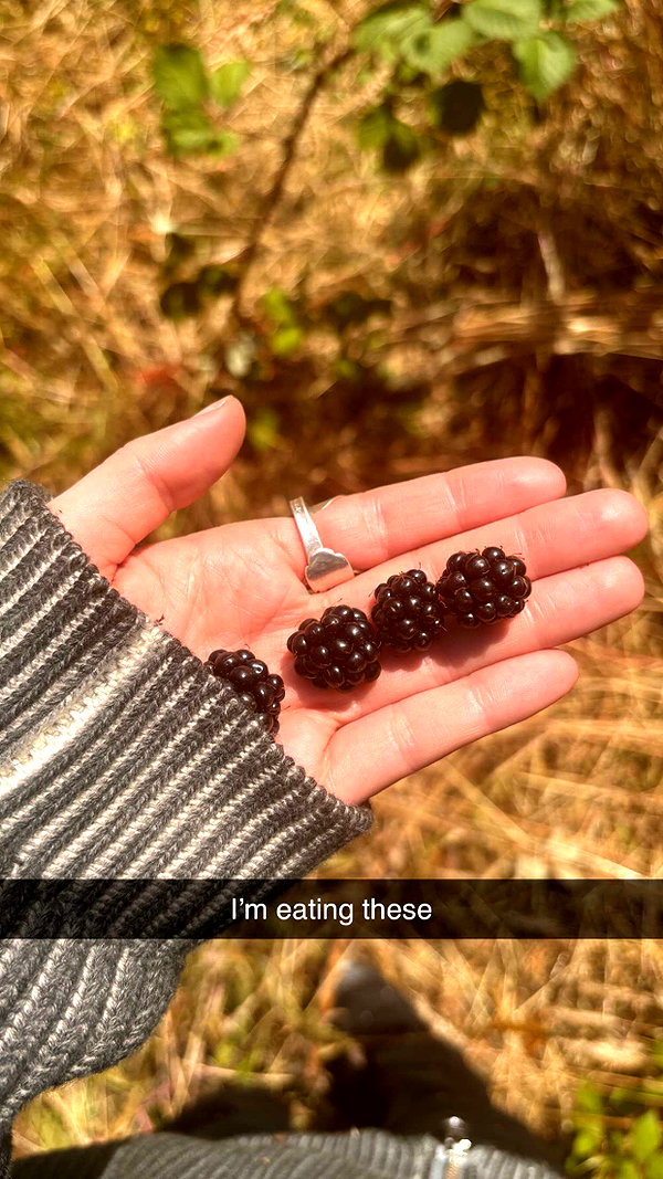 imchloebleu snapchat image archive image