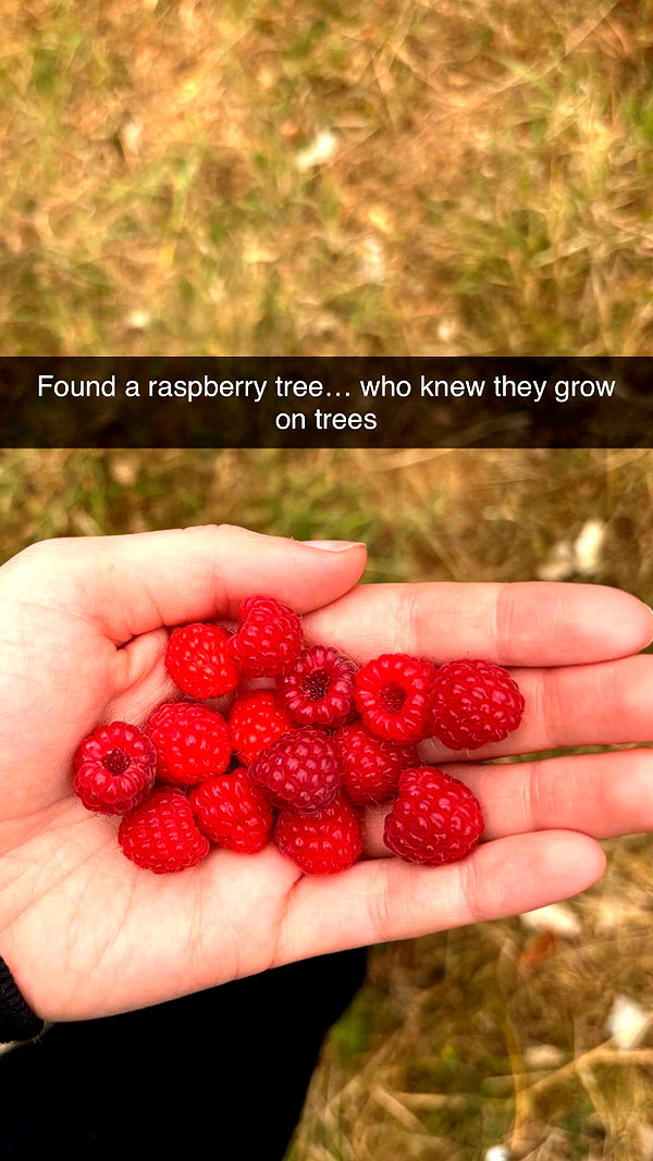 imchloebleu snapchat image archive image