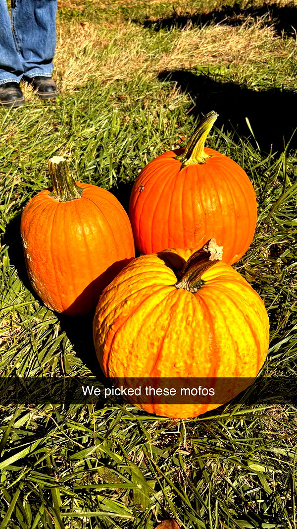 imchloebleu snapchat image archive image