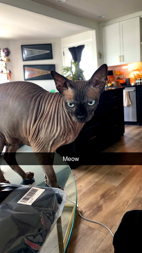 imchloebleu snapchat image archive image