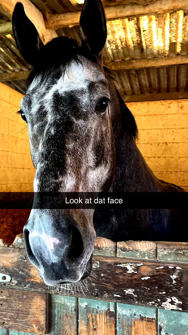 imchloebleu snapchat image archive image