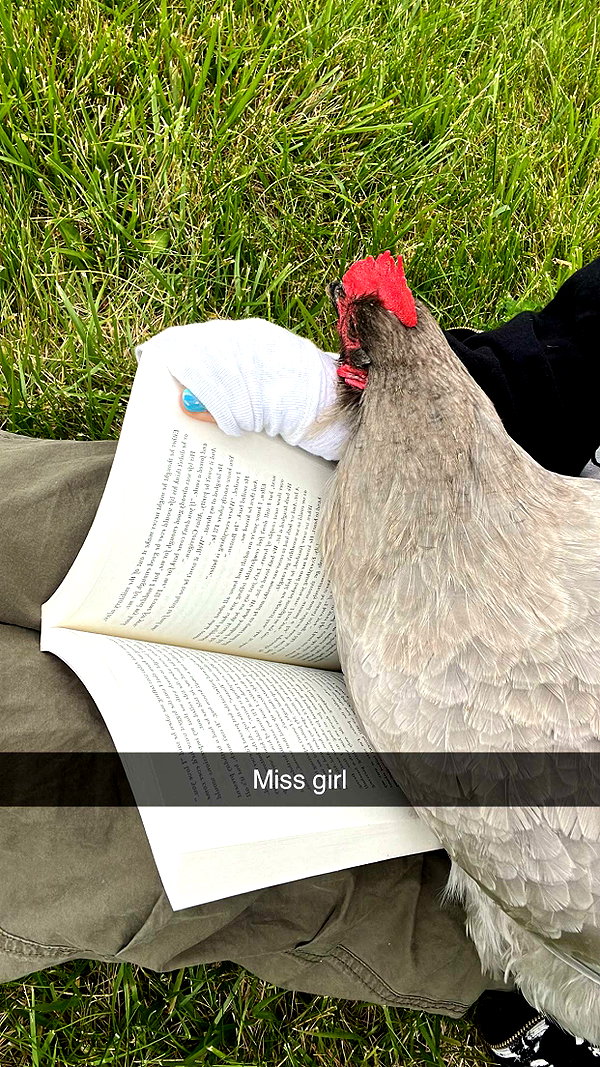 imchloebleu snapchat image archive image