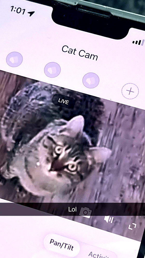imchloebleu snapchat image archive image