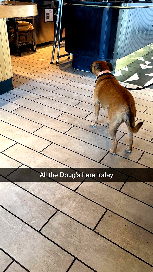 imchloebleu snapchat image archive image