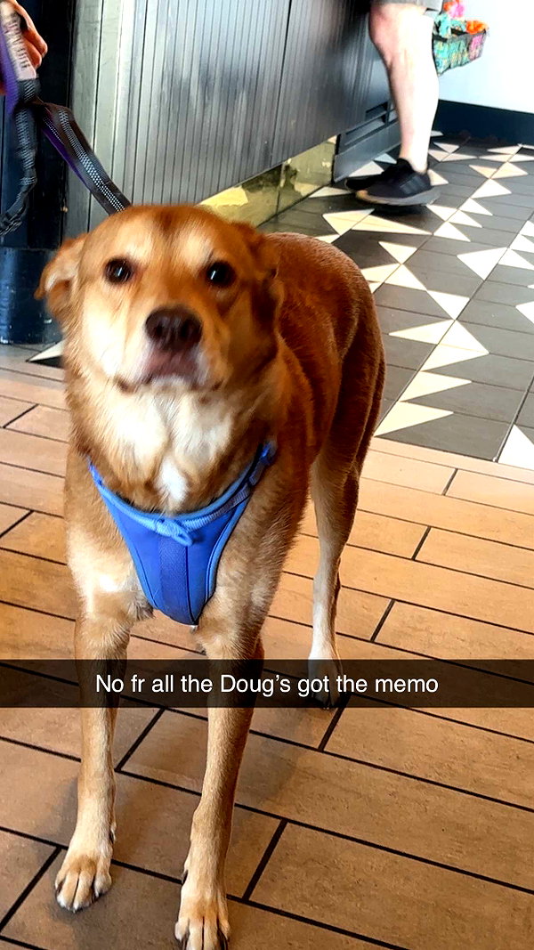imchloebleu snapchat image archive image