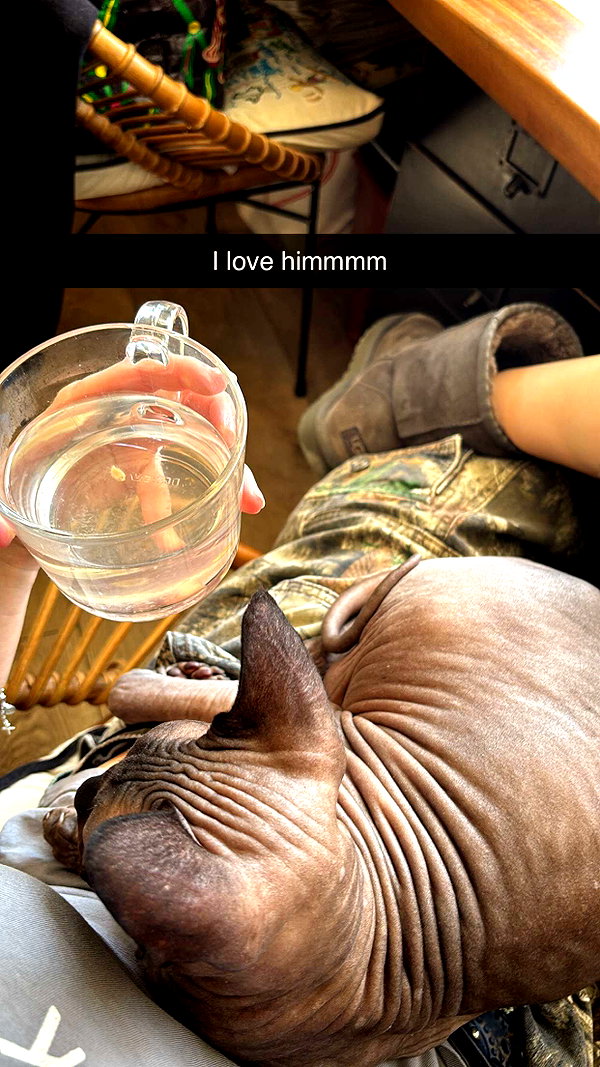 imchloebleu snapchat image archive image