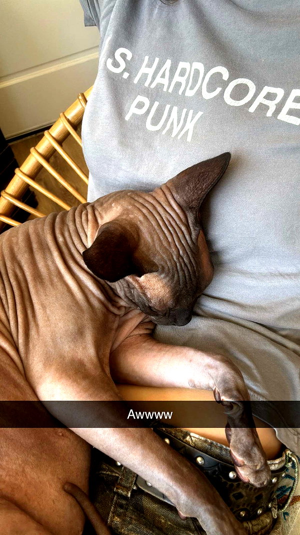 imchloebleu snapchat image archive image
