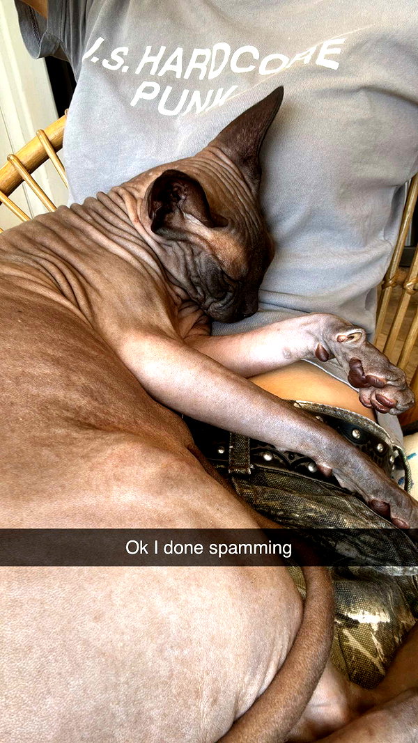 imchloebleu snapchat image archive image