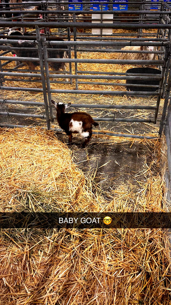 imchloebleu snapchat image archive image