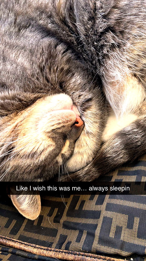imchloebleu snapchat image archive image