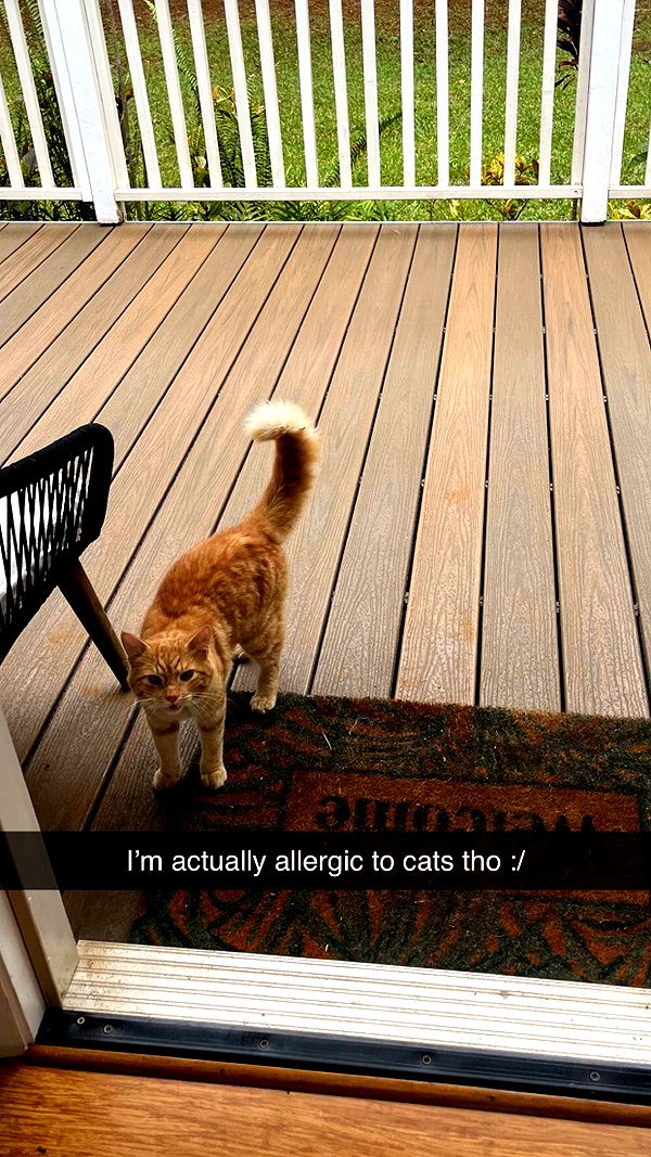 imchloebleu snapchat image archive image