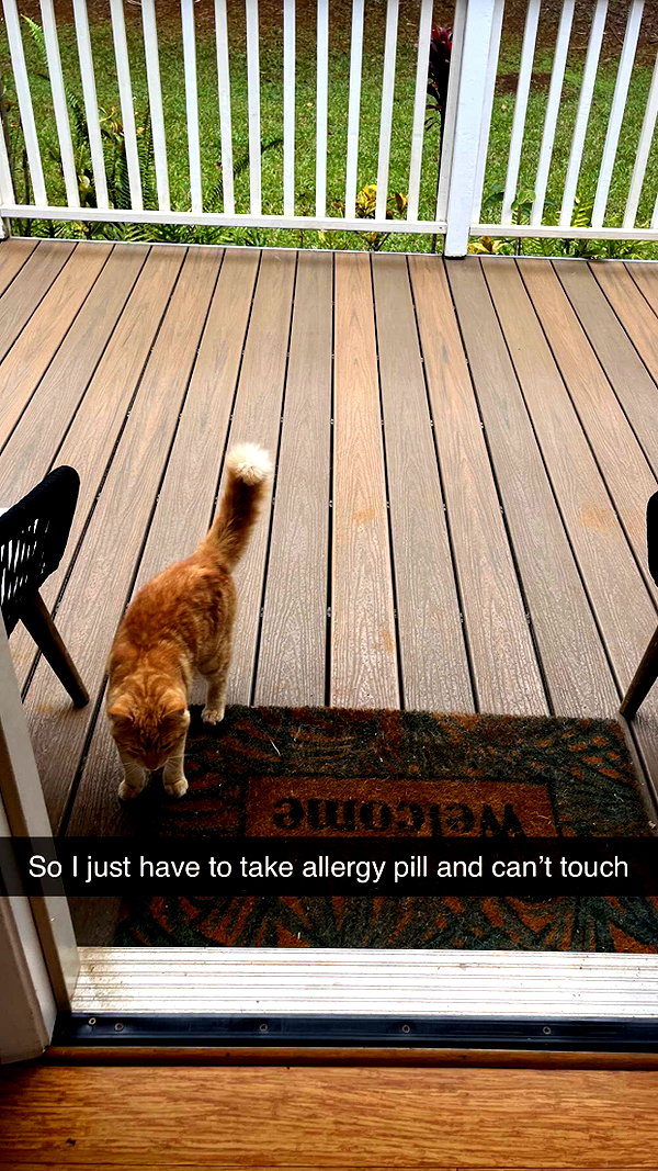 imchloebleu snapchat image archive image