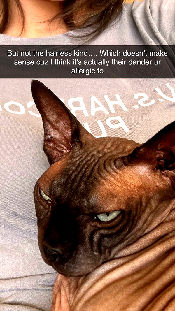 imchloebleu snapchat image archive image