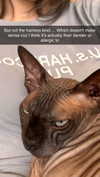 imchloebleu Altpins Profile Picture