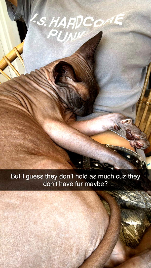 imchloebleu snapchat image archive image