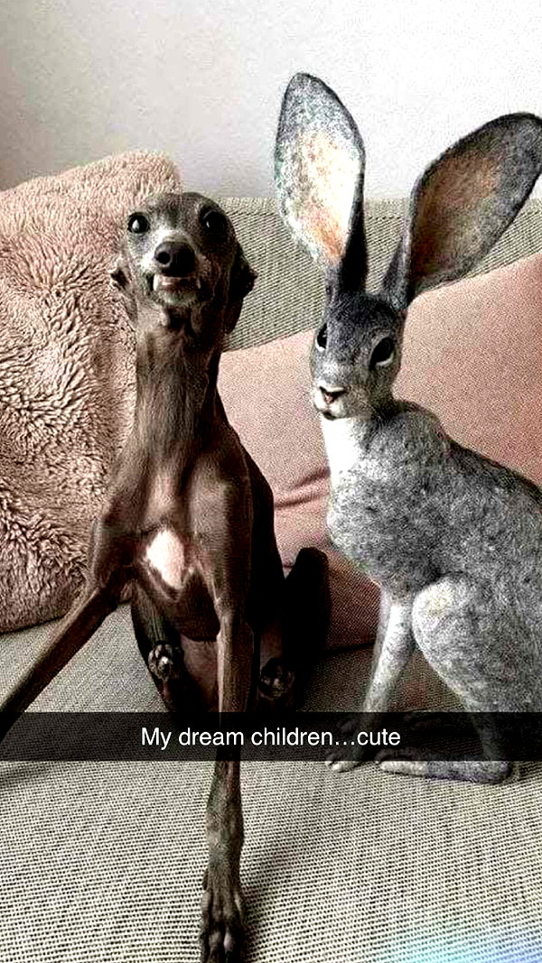 imchloebleu snapchat image archive image