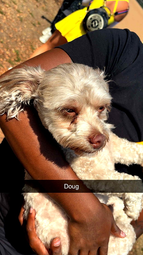 imchloebleu snapchat image archive image