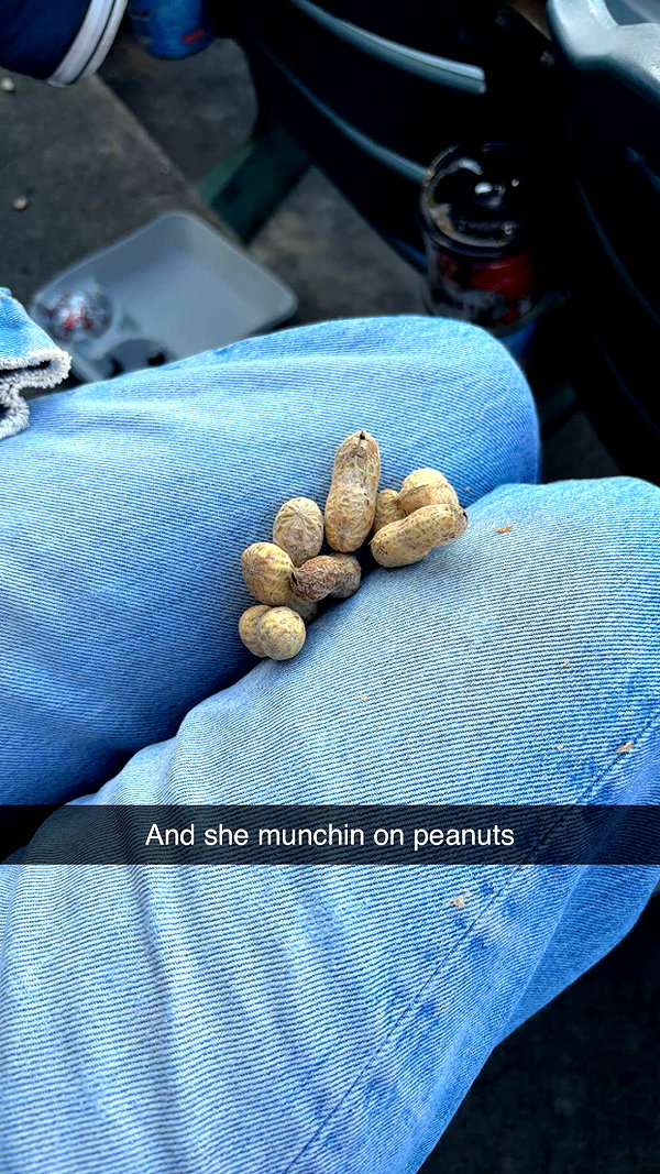imchloebleu snapchat image archive image