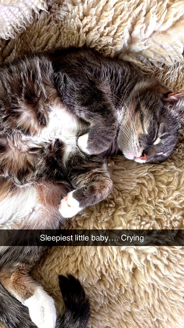 imchloebleu snapchat image archive image