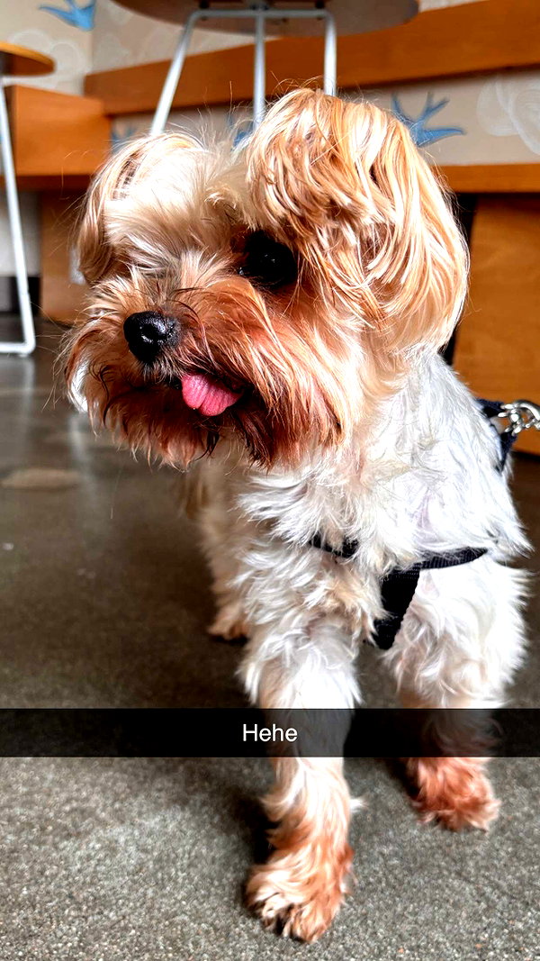 imchloebleu snapchat image archive image