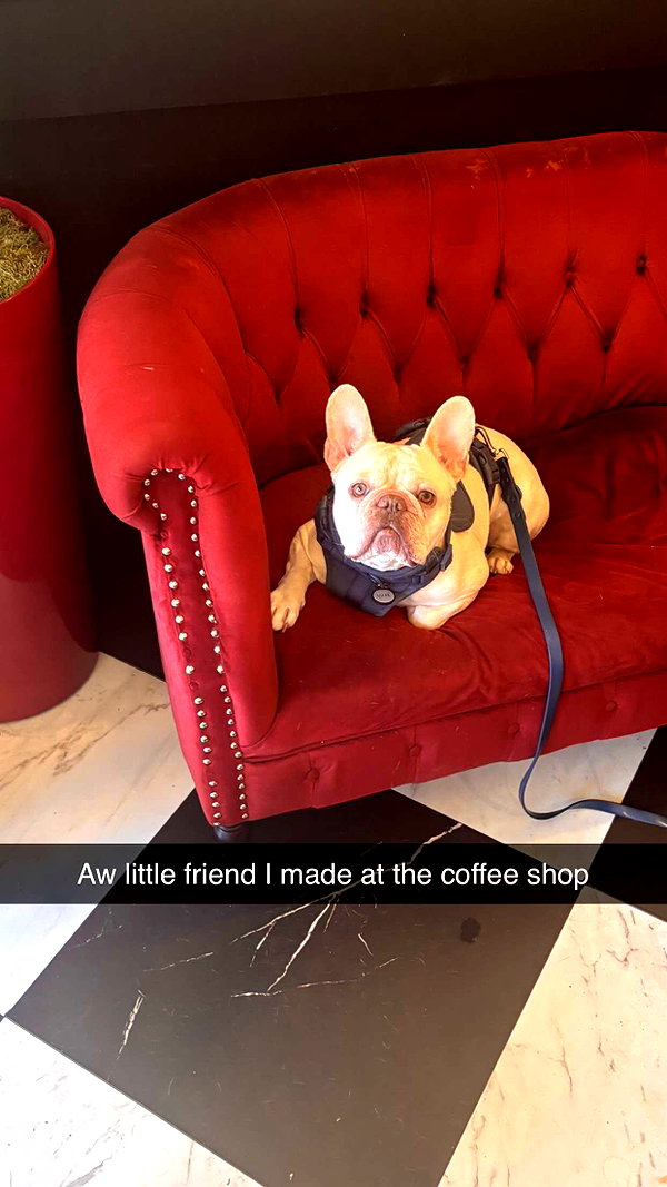 imchloebleu snapchat image archive image