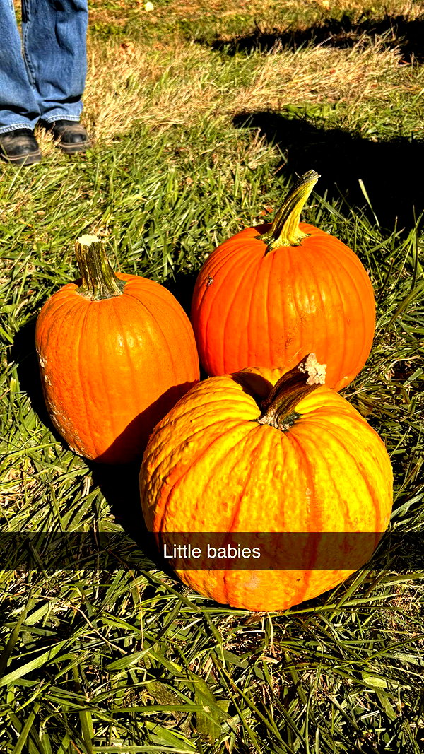 imchloebleu snapchat image archive image
