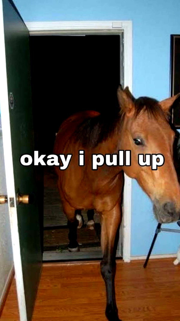 imchloebleu snapchat image archive image