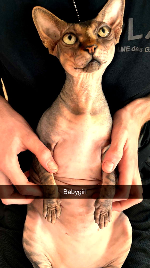 imchloebleu snapchat image archive image