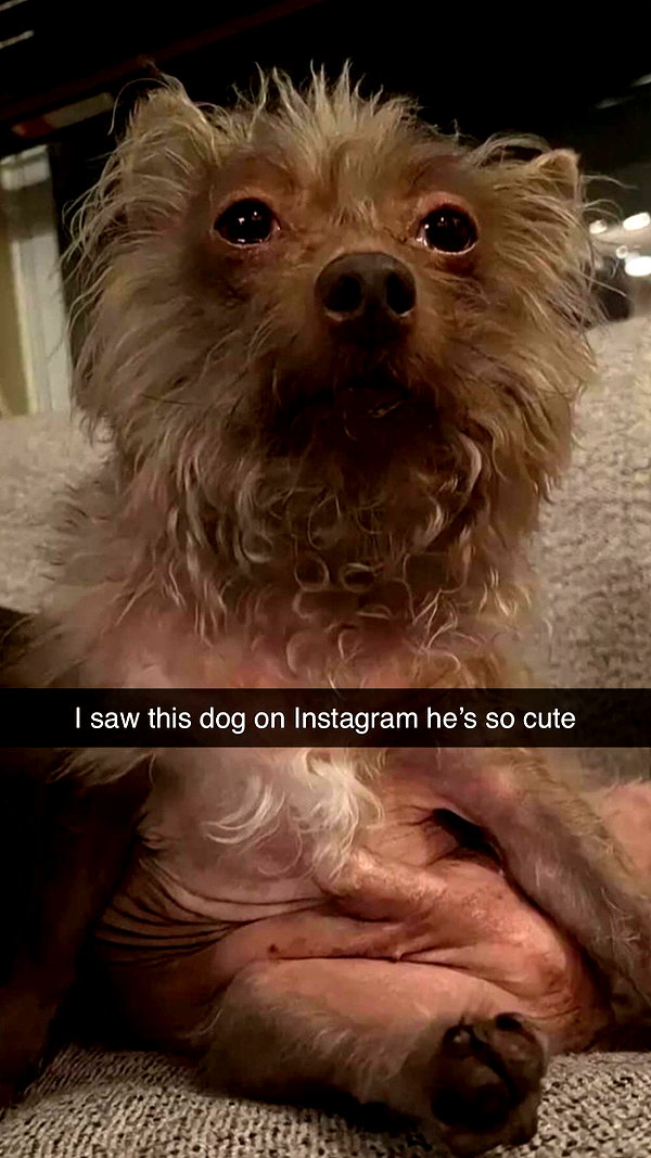 imchloebleu snapchat image archive image