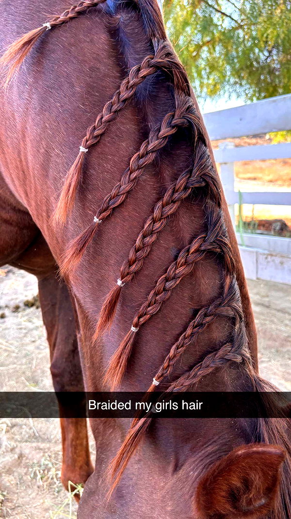 imchloebleu snapchat image archive image