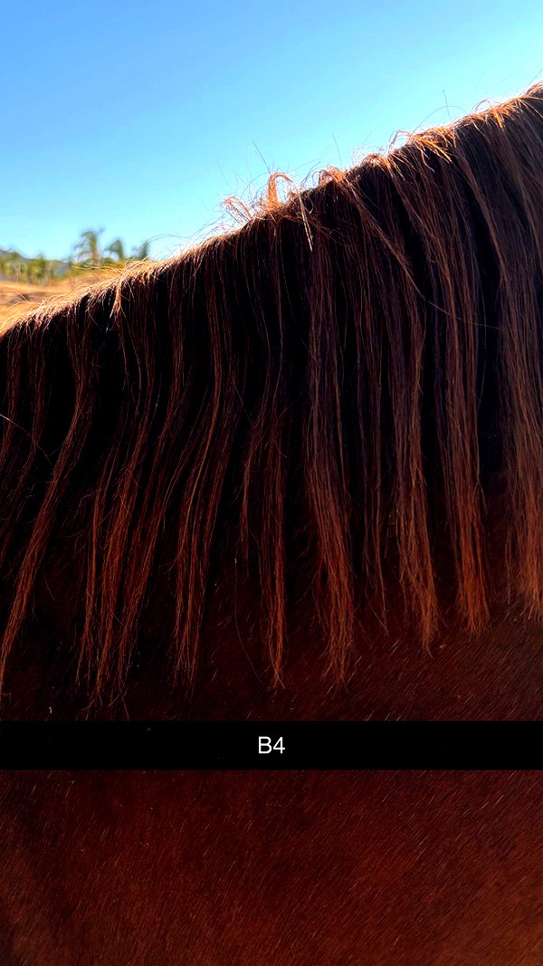 imchloebleu snapchat image archive image