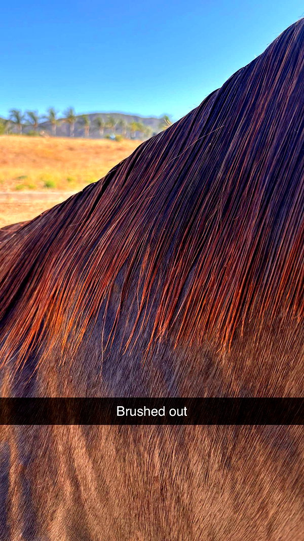 imchloebleu snapchat image archive image