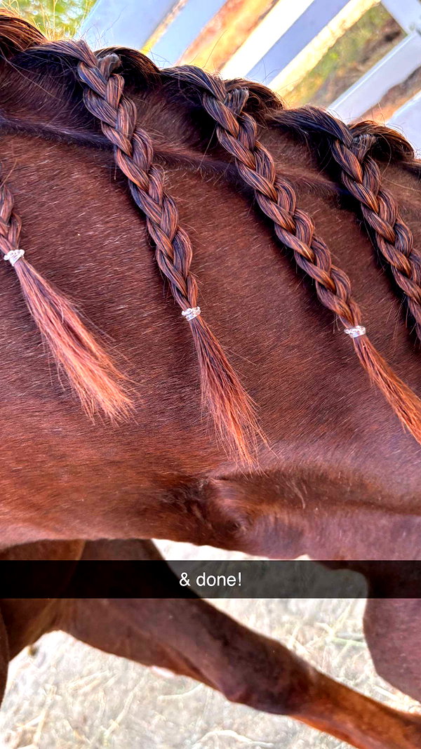 imchloebleu snapchat image archive image