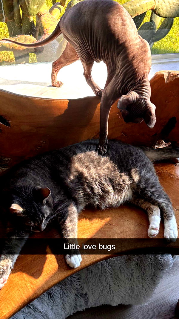 imchloebleu snapchat image archive image