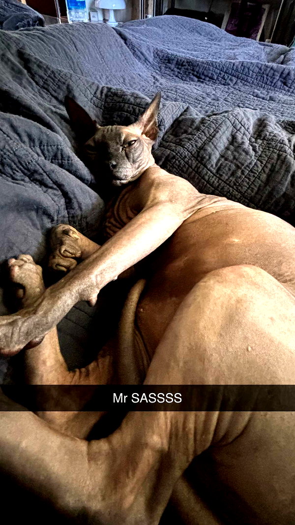 imchloebleu snapchat image archive image