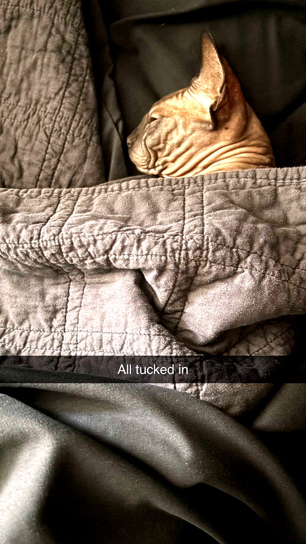 imchloebleu snapchat image archive image