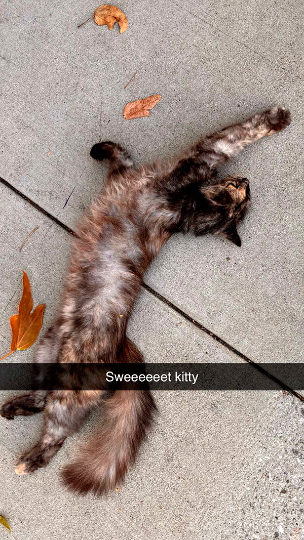 imchloebleu snapchat image archive image