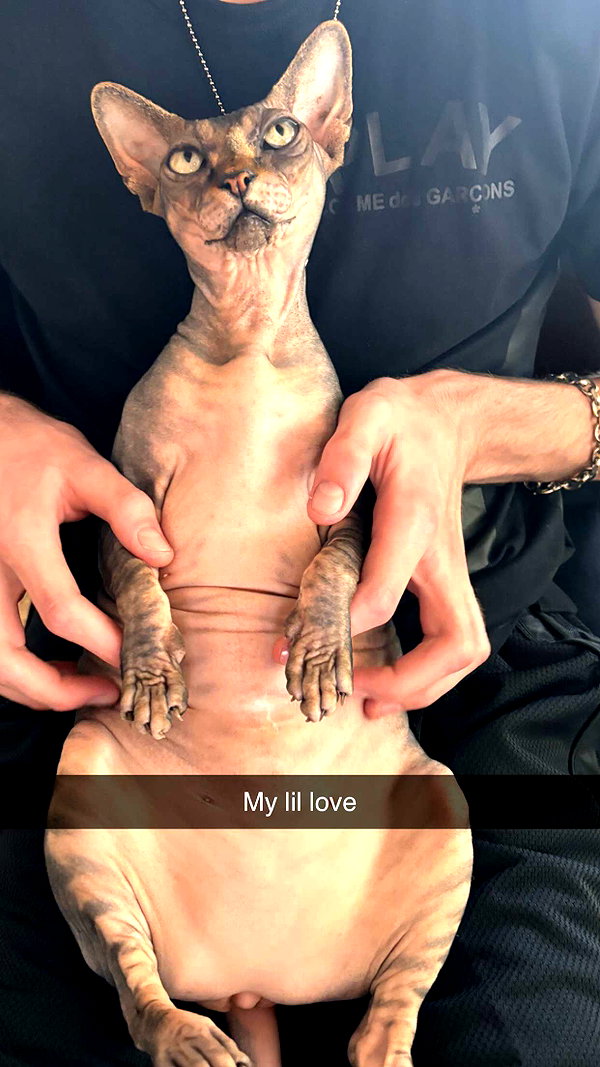 imchloebleu snapchat image archive image