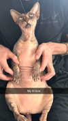 imchloebleu Altpins Profile Picture
