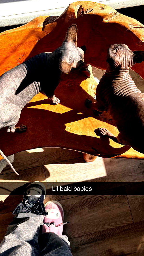imchloebleu snapchat image archive image