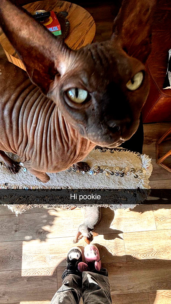 imchloebleu snapchat image archive image