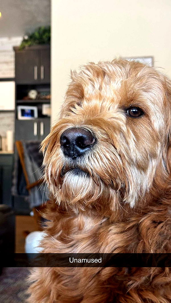 itsnellxoxo image ~ Altpins